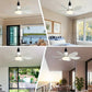✨ 2-IN-1 Deckenventilator & Licht – Tragbar, Fernbedienung