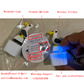 【🔋Type-C wiederaufladbar】🆕 2026 LED Sound & Light Möwen-Schlüsselanhänger – Anti-Stress Fidget Keychain 🐦✨🔑