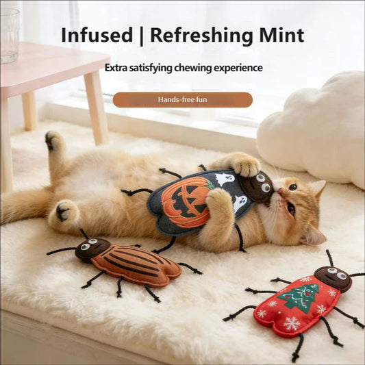 🎃 Katzenspielzeug — Selbstständig spielen und Spaß haben 😺