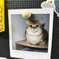 🥚 Niedliche Ei-Kühlschrankmagnete für Fotos & Notizen