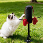 🐱🥊 Interaktives Katzen-Boxspielzeug – ultimativer Spielspaß