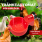 🔥Automatische Hühnertränke Vogelhäuschen