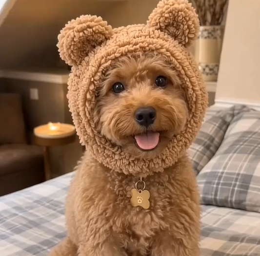 🐶Kuschelige Wintermütze für Hunde & Katzen – Verstellbare Plüschmütze für kleine Haustiere🐱