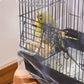 🐦✨ Netzabdeckung für den Vogelkäfig – Mehr Sauberkeit und Komfort für deinen kleinen Freund! 💚🏡