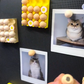 🥚 2026 Ei Kühlschrankmagnet 🧲 Fotohalter & Deko