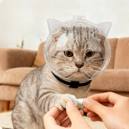 🐱🛡️ Kugelförmiger Katzenkragen – Leck- & Kratzschutz