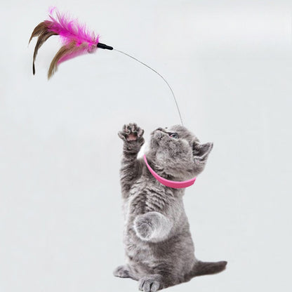 🐱 2026 Katzenhalsband mit Feder & Glöckchen 🎀 Selbstbeschäftigungs-Katzenspielzeug