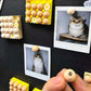 🥚 Niedliche Ei-Kühlschrankmagnete für Fotos & Notizen