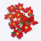 🎄 Weihnachts Poinsettien Lichterkette
