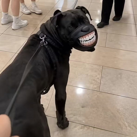 🐶 Lustiger Maulkorb mit Hunde-Lachmund – Witziges Accessoire für Spaziergänge & Kostüm-Highlight 😂