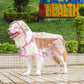 🐶☔ Transparenter Hunde-Regenmantel – Schutz vor Regen und Wind