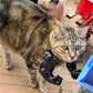 3D Katze Muskelarm Anhänger Lustiges Scherzspielzeug 2026