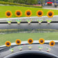 🌻Wackelnde Sonnenblume für Auto Armaturenbrett