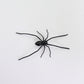🕷️ Spider Kühlschrankmagnete