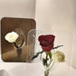 Acryl Bilderrahmen Vase 2026 Transparent Tischdeko Blumen Hydroponik Wohnzimmer