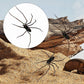 🕷️ Spider Kühlschrankmagnete