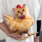 🐱🐔 Lustiges Katzen Huhn Kissen Deko 2026 ✨