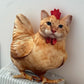 🐱🐔 Lustiges Katzen Huhn Kissen Deko 2026 ✨