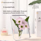 Acryl Bilderrahmen Vase 2026 Transparent Tischdeko Blumen Hydroponik Wohnzimmer
