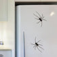 🕷️ Spider Kühlschrankmagnete