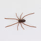 🕷️ Spider Kühlschrankmagnete