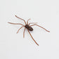 🕷️ Spider Kühlschrankmagnete