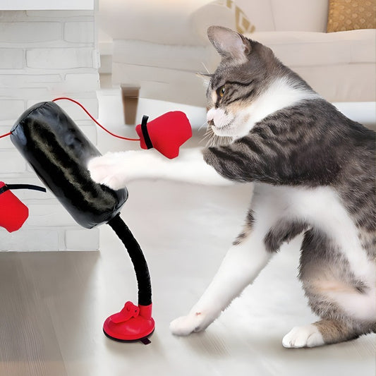 🐱🥊 Interaktives Katzen-Boxspielzeug – ultimativer Spielspaß