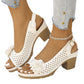 🔥2025🔥 Sandalen mit Schnalle und quadratischem Absatz für Damen
