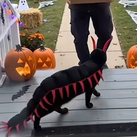🐛🎃Halloween-Kostüm „Tausendfüßler“ für Haustiere 👻
