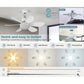 ✨ 2-IN-1 Deckenventilator & Licht – Tragbar, Fernbedienung