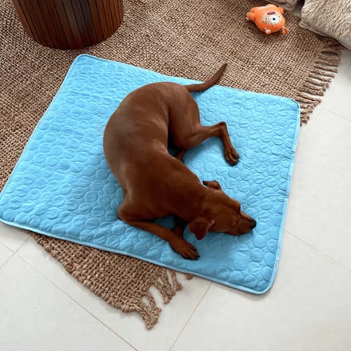 🐶 Kühlmatte für Hunde – 4-mal effektivere Kühlung für heiße Sommertage ❄️✨