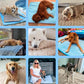 🐶 Kühlmatte für Hunde – 4-mal effektivere Kühlung für heiße Sommertage ❄️✨