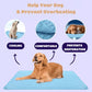 🐶 Kühlmatte für Hunde – 4-mal effektivere Kühlung für heiße Sommertage ❄️✨