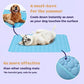 🐶 Kühlmatte für Hunde – 4-mal effektivere Kühlung für heiße Sommertage ❄️✨
